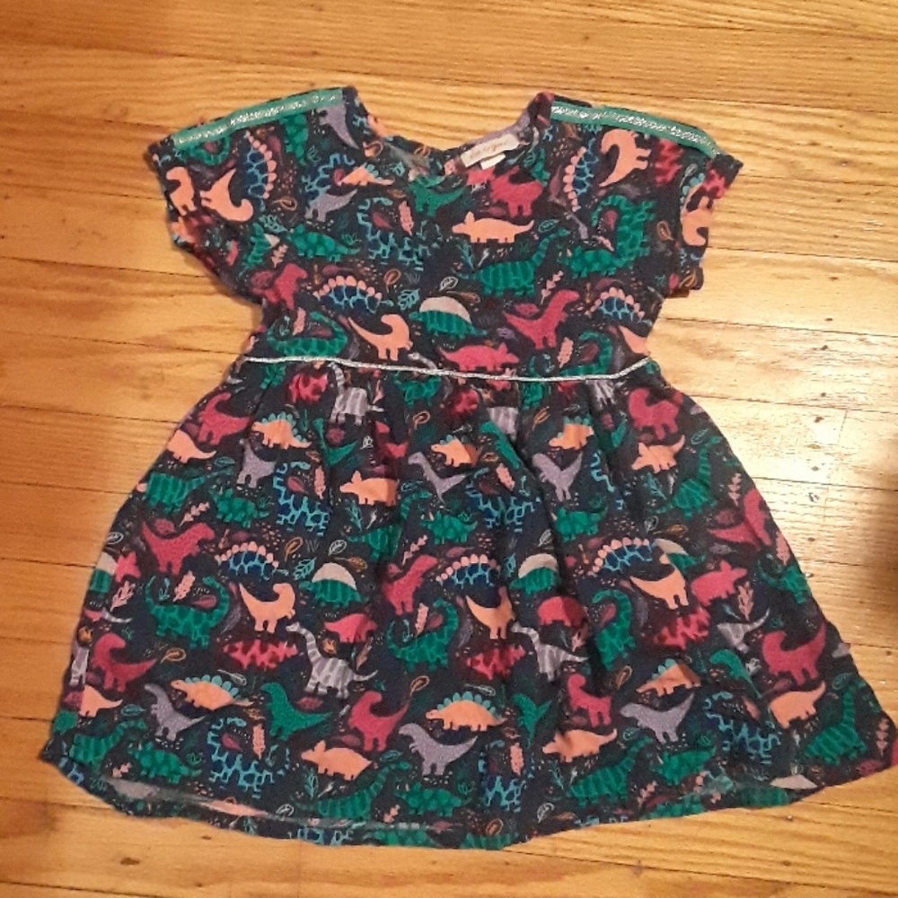 Cat and Jack dinosaur dress